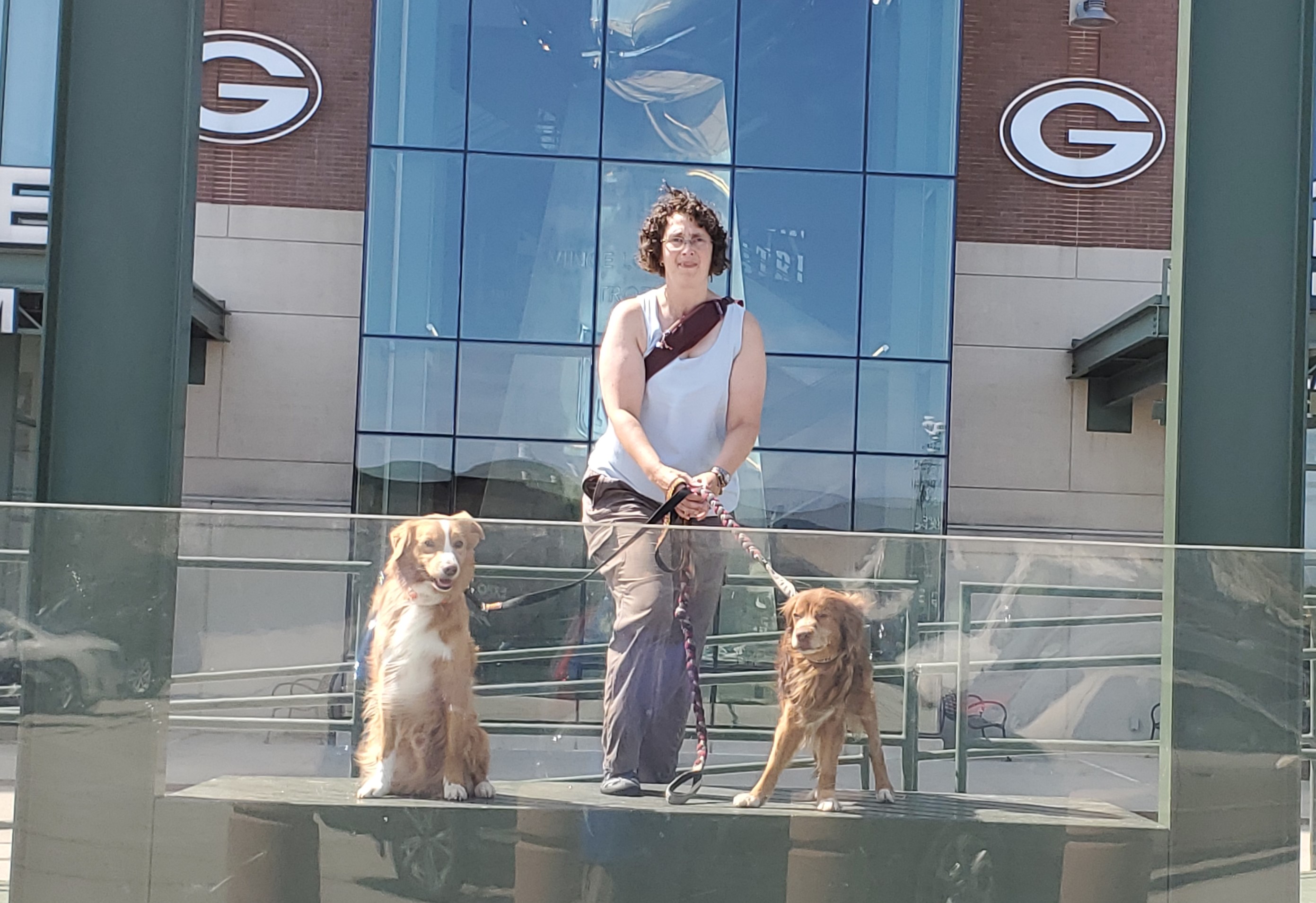 Premier K9 Of Middle Tn