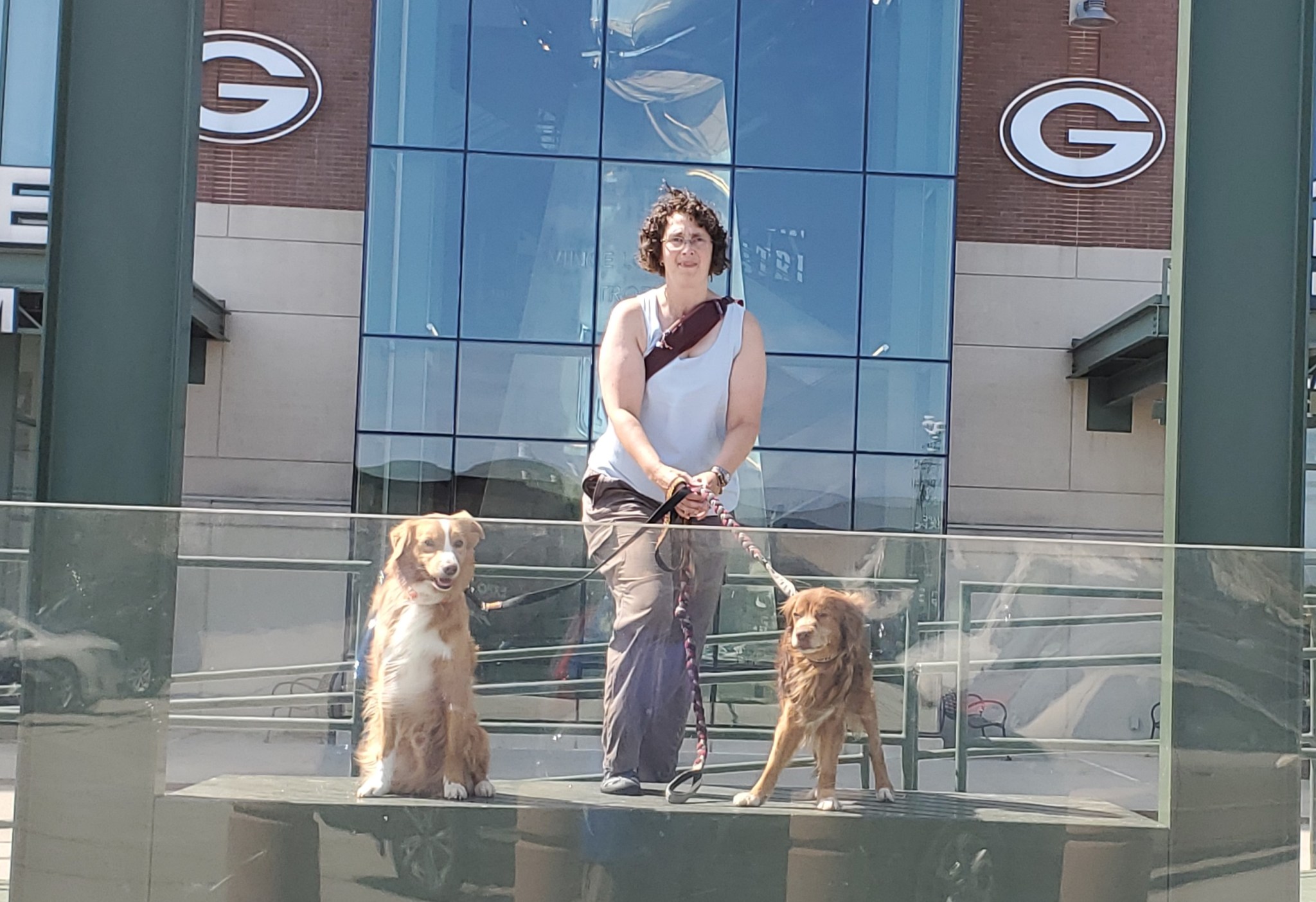 Premier K9 Of Middle Tn